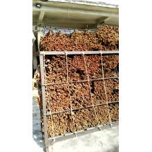 China Canela / Cassia de alta calidad a bajo precio con mejores ventas